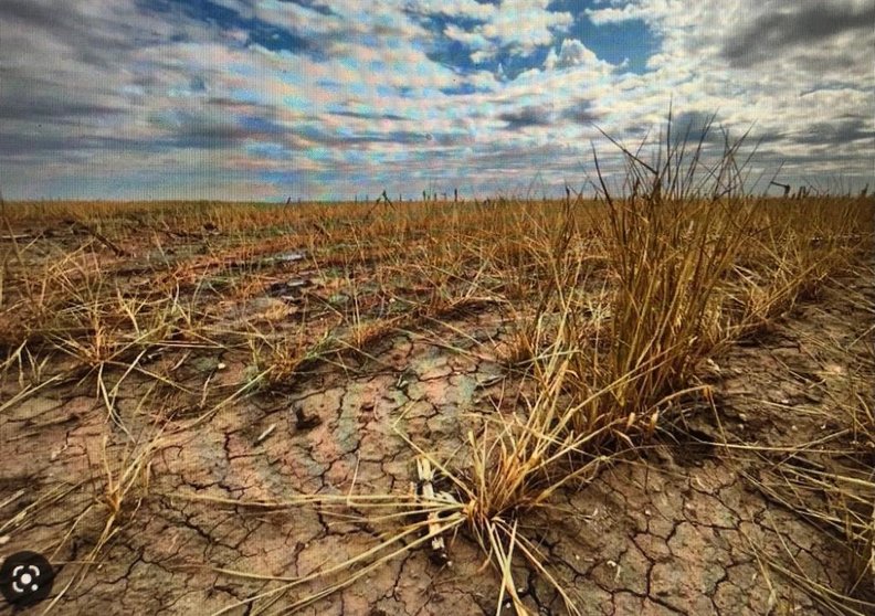Campaña protagonizada por la sequía